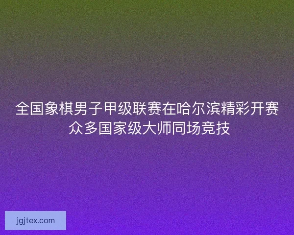 全国象棋男子甲级联赛在哈尔滨精彩开赛 众多国家级大师同场竞技